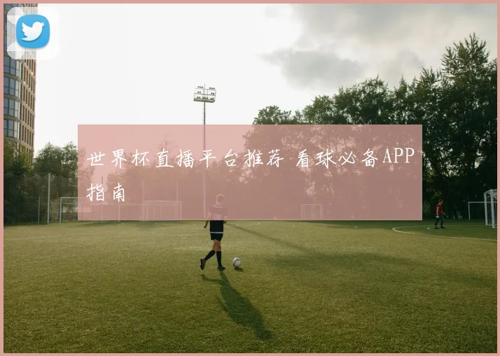 世界杯直播平台推荐 看球必备APP指南
