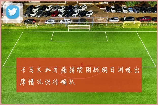 卡马文加牙痛持续困扰明日训练出席情况仍待确认