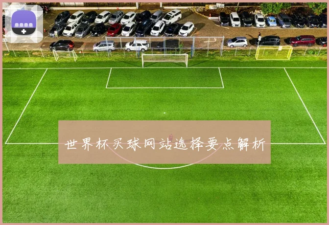 世界杯买球网站选择要点解析