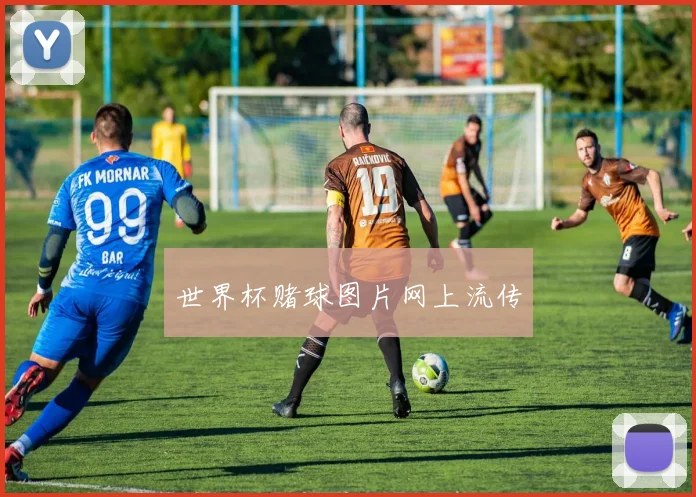 世界杯赌球图片网上流传