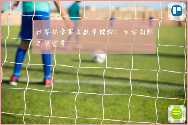 世界杯参赛国数量揭秘:专访国际足联官员