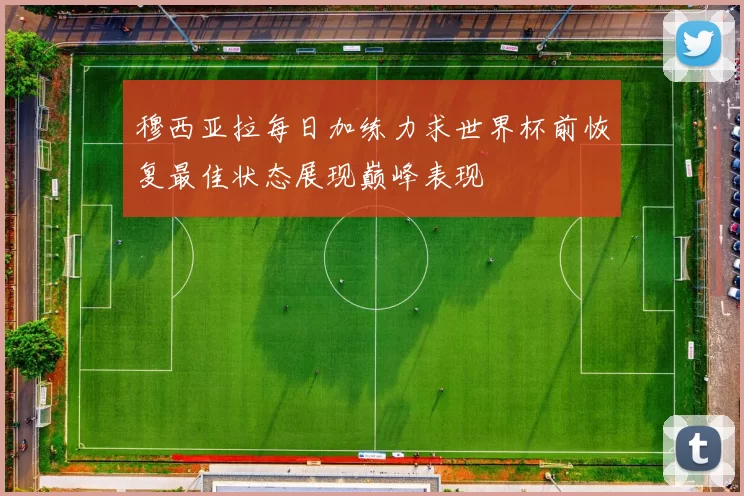 穆西亚拉每日加练力求世界杯前恢复最佳状态展现巅峰表现