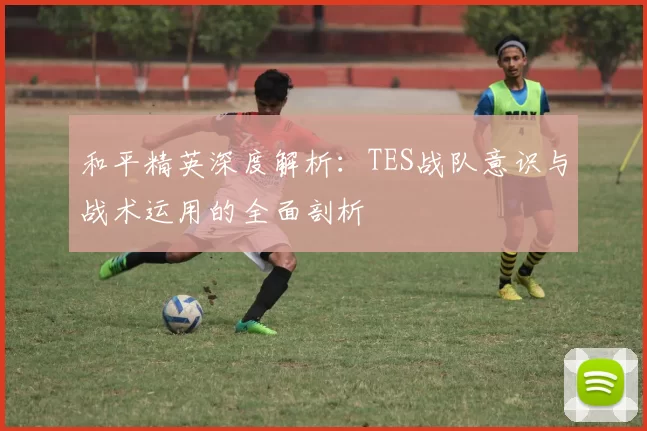 和平精英深度解析：TES战队意识与战术运用的全面剖析