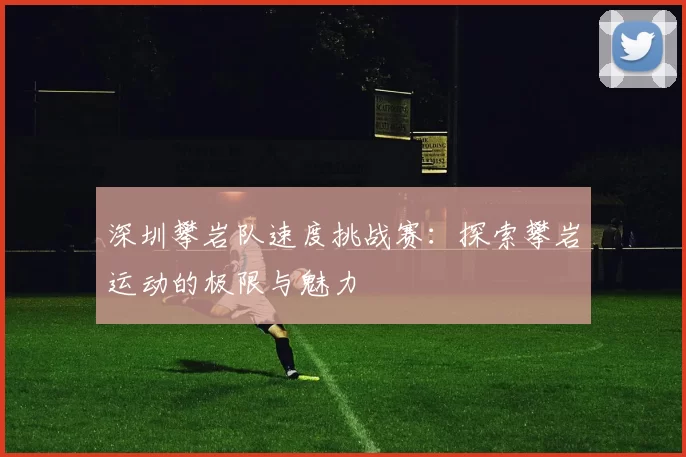 深圳攀岩队速度挑战赛：探索攀岩运动的极限与魅力