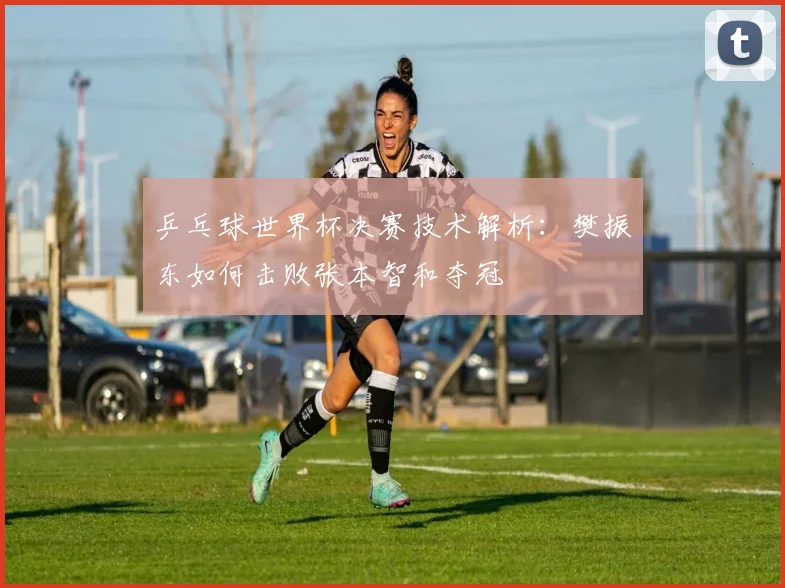 乒乓球世界杯决赛技术解析:樊振东如何击败张本智和夺冠