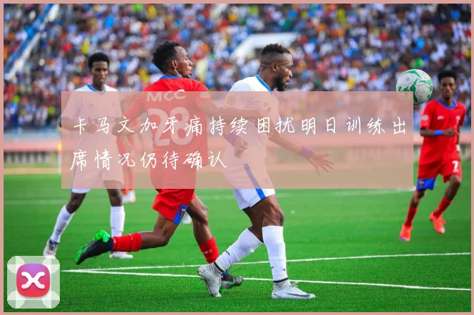 卡马文加牙痛持续困扰明日训练出席情况仍待确认