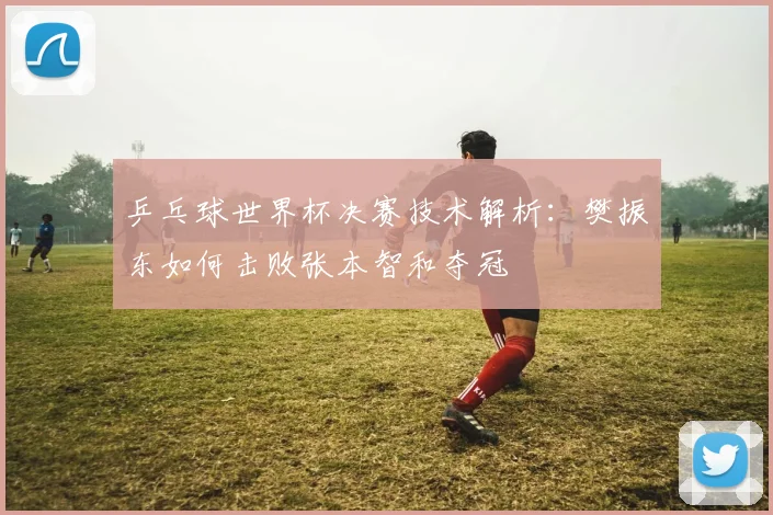 乒乓球世界杯决赛技术解析:樊振东如何击败张本智和夺冠