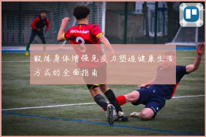 锻炼身体增强免疫力塑造健康生活方式的全面指南