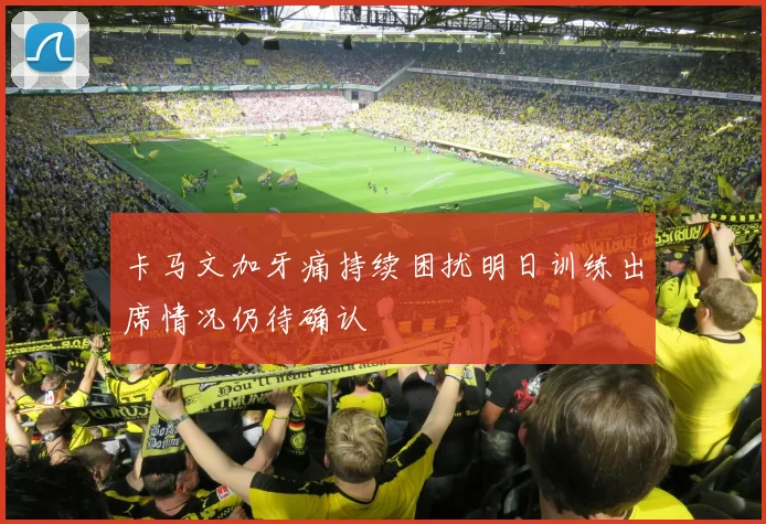 卡马文加牙痛持续困扰明日训练出席情况仍待确认