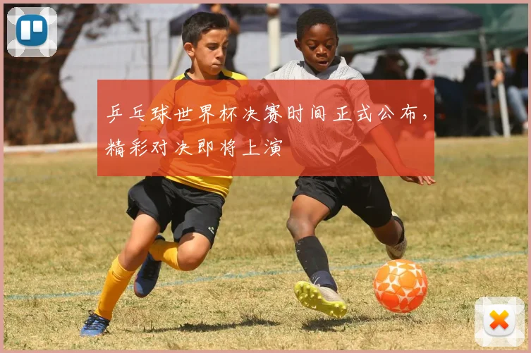 乒乓球世界杯决赛时间正式公布,精彩对决即将上演